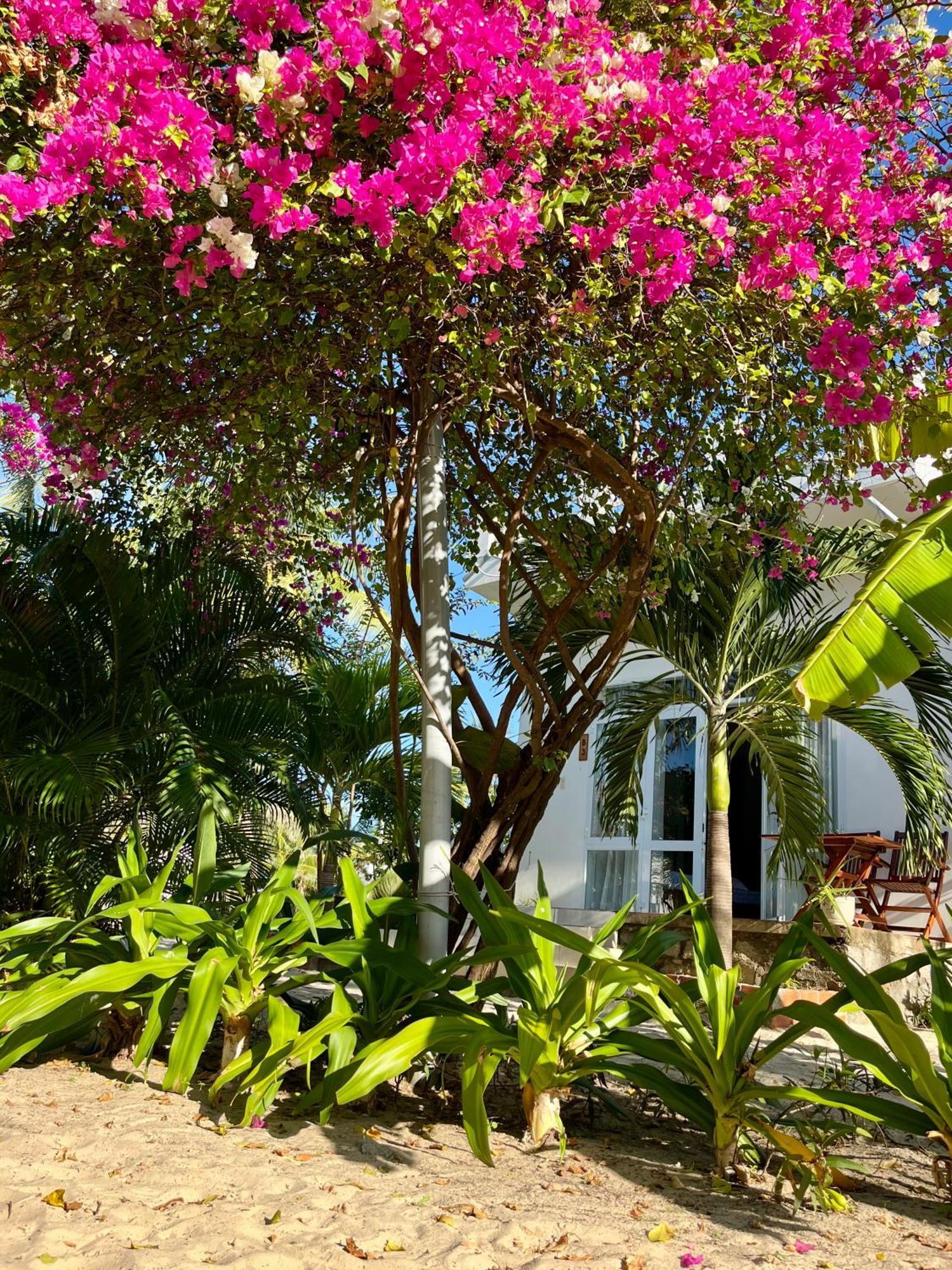 Robinson Beach Bungalow Vinh Hoa 외부 사진